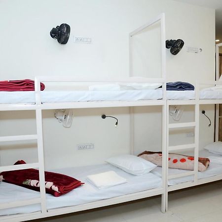 The Charlie'S Hostel New Delhi Luaran gambar