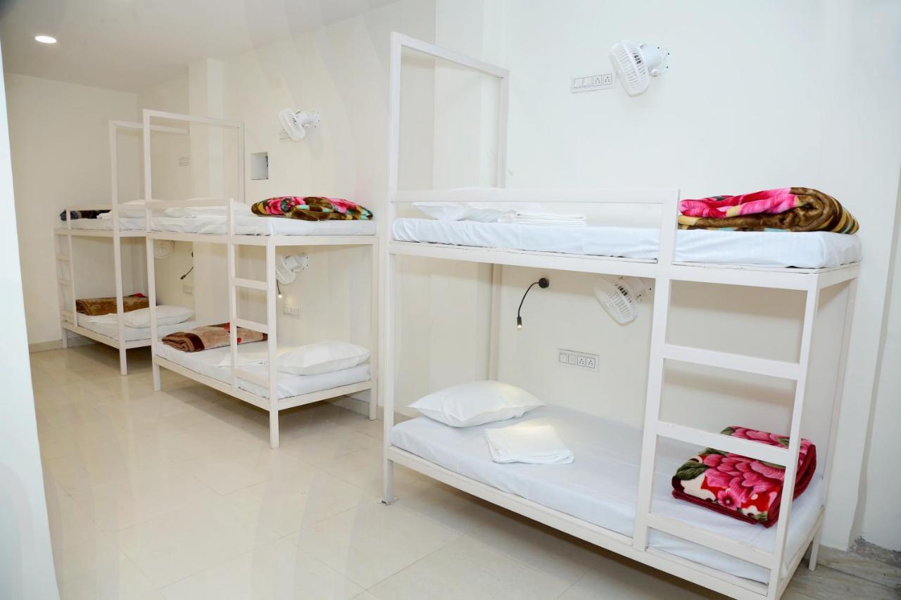 The Charlie'S Hostel New Delhi Luaran gambar