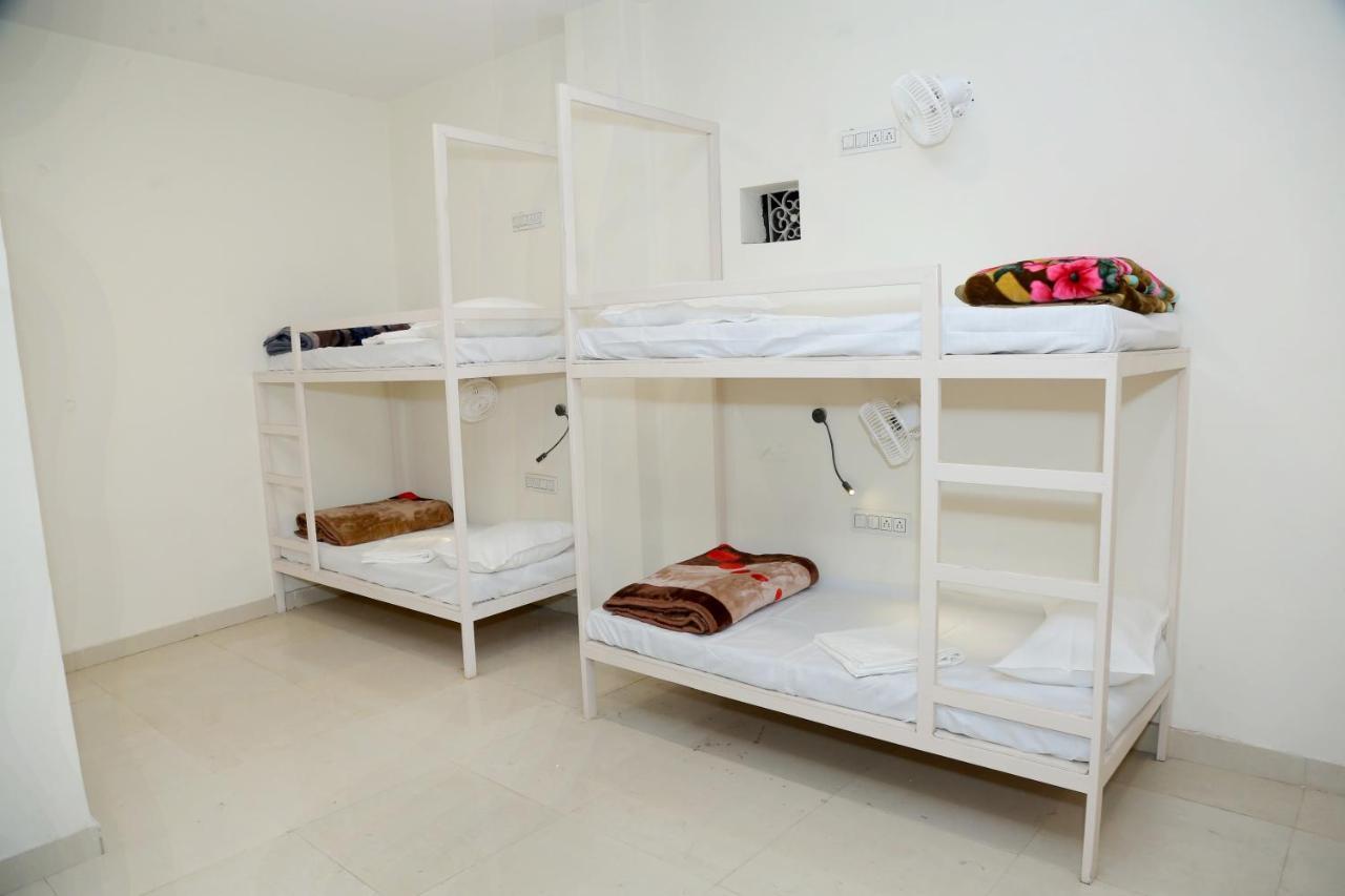 The Charlie'S Hostel New Delhi Luaran gambar