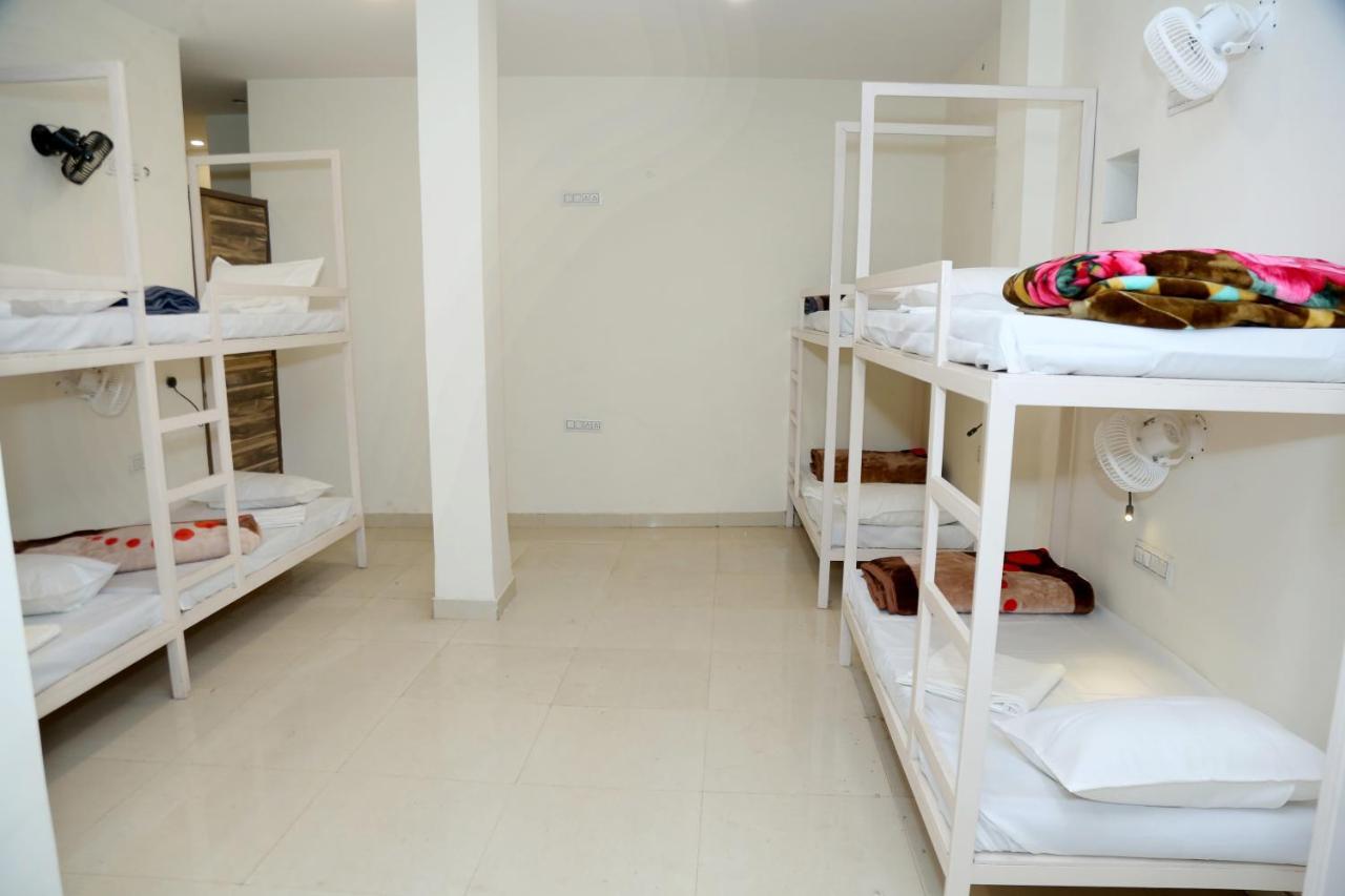 The Charlie'S Hostel New Delhi Luaran gambar
