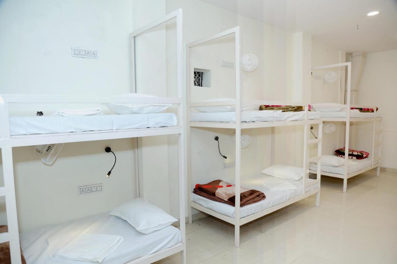 The Charlie'S Hostel New Delhi Luaran gambar