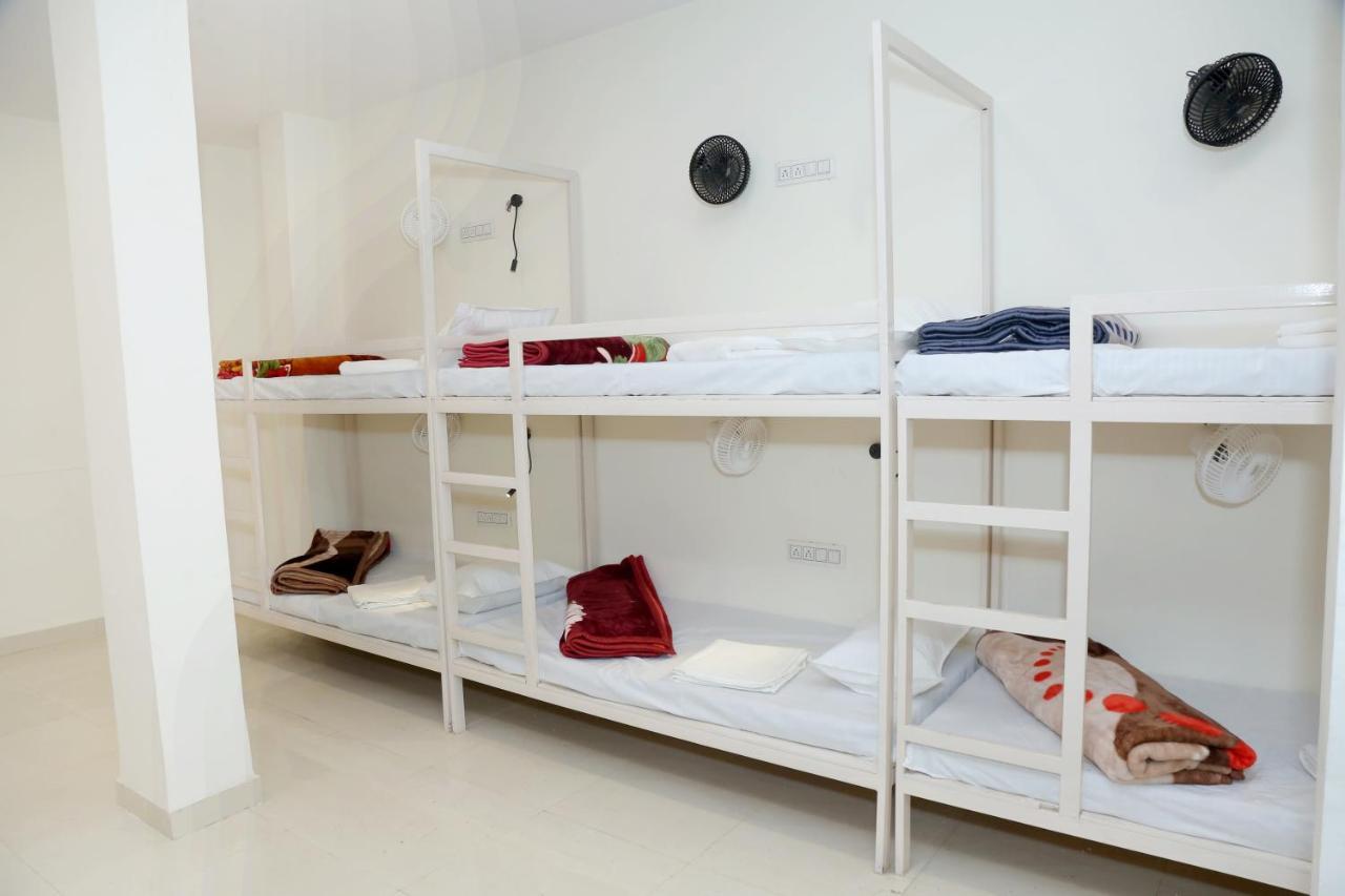 The Charlie'S Hostel New Delhi Luaran gambar