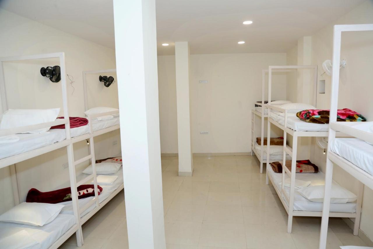 The Charlie'S Hostel New Delhi Luaran gambar