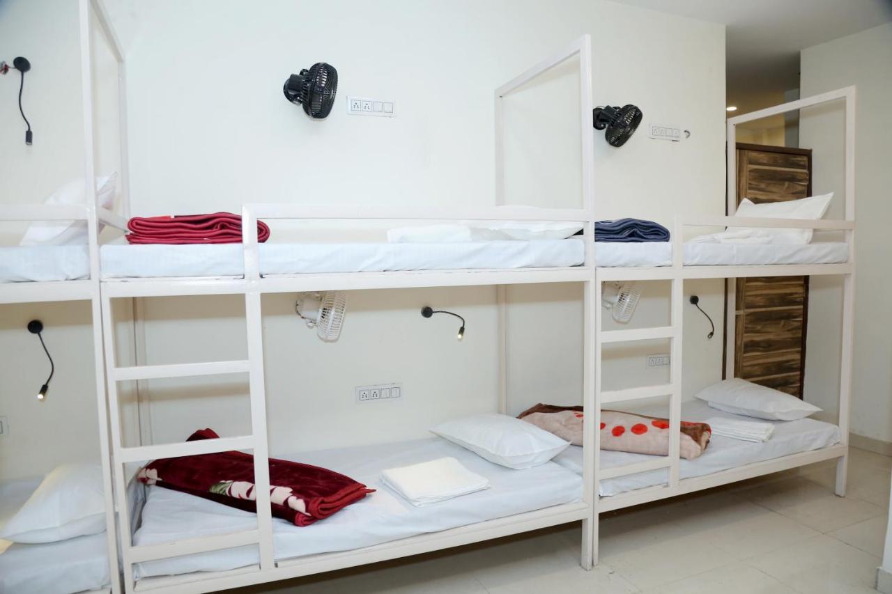 The Charlie'S Hostel New Delhi Luaran gambar