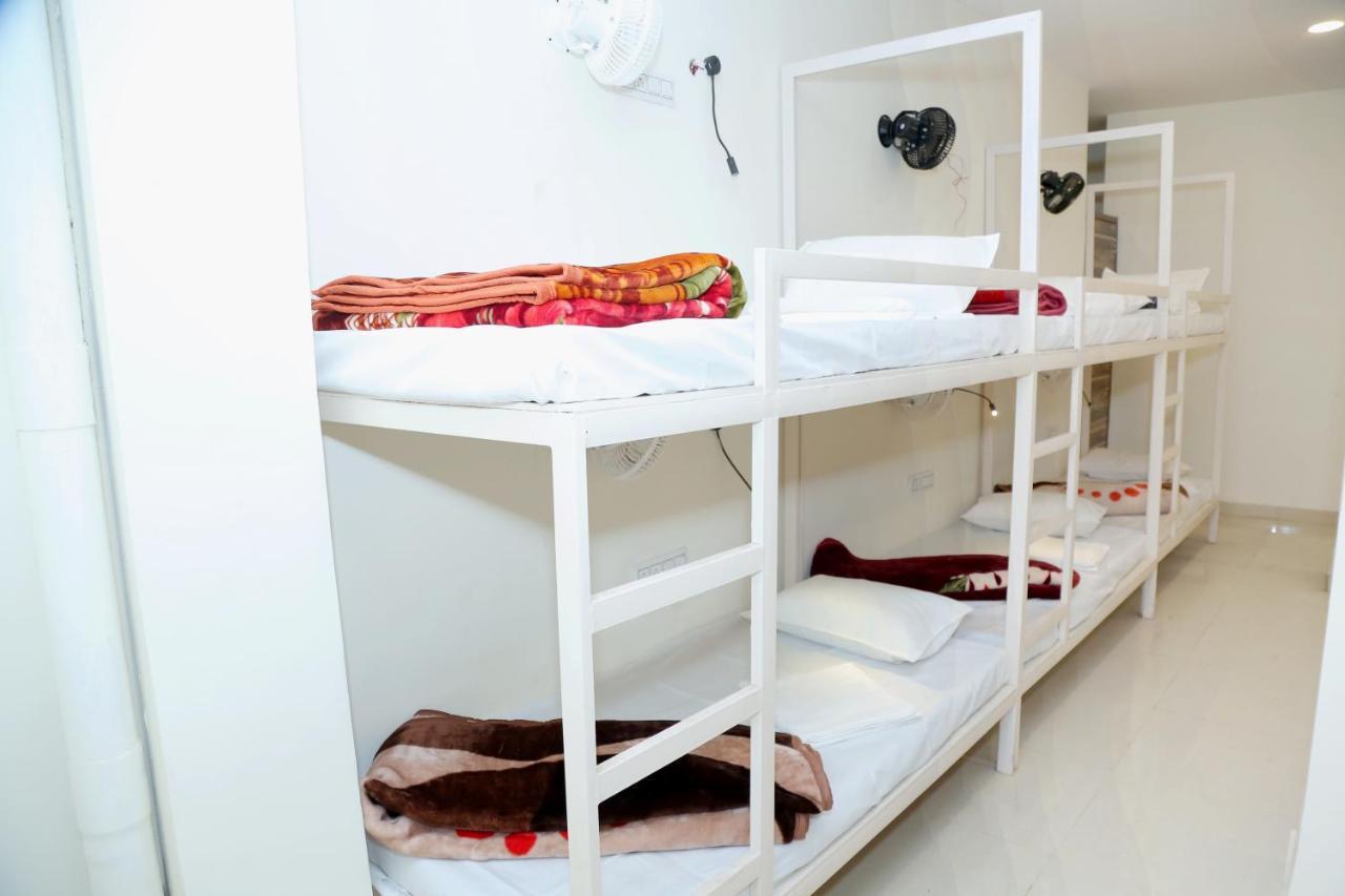 The Charlie'S Hostel New Delhi Luaran gambar