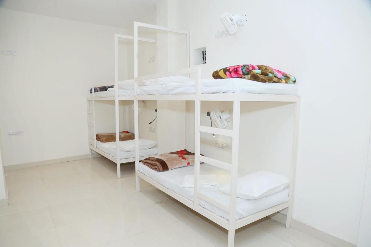 The Charlie'S Hostel New Delhi Luaran gambar